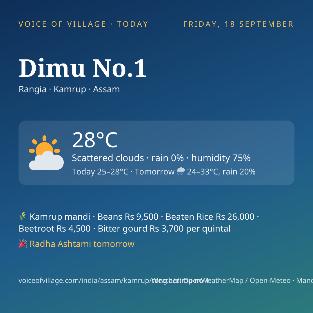Dimu No.1 today