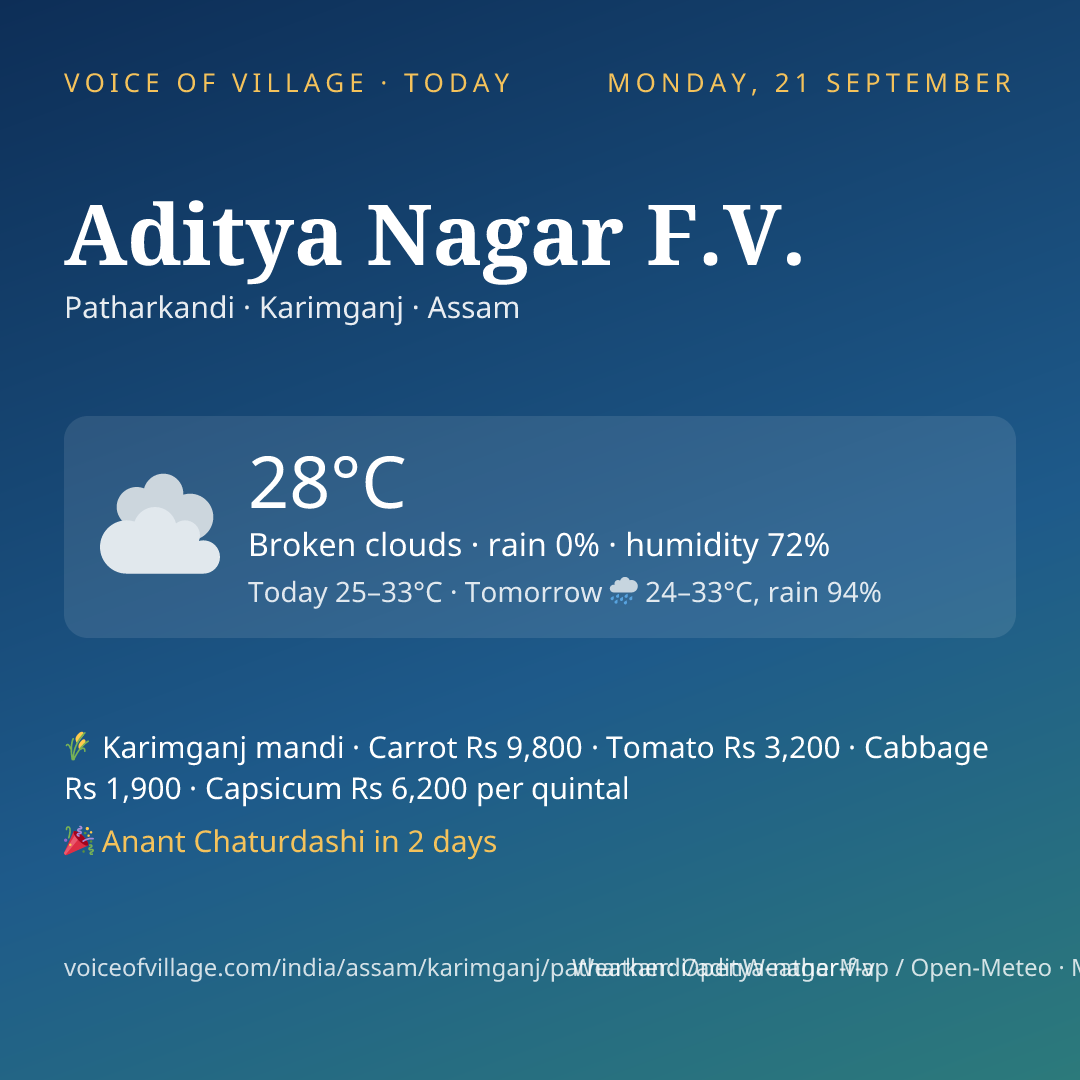 Aditya Nagar F.V. today