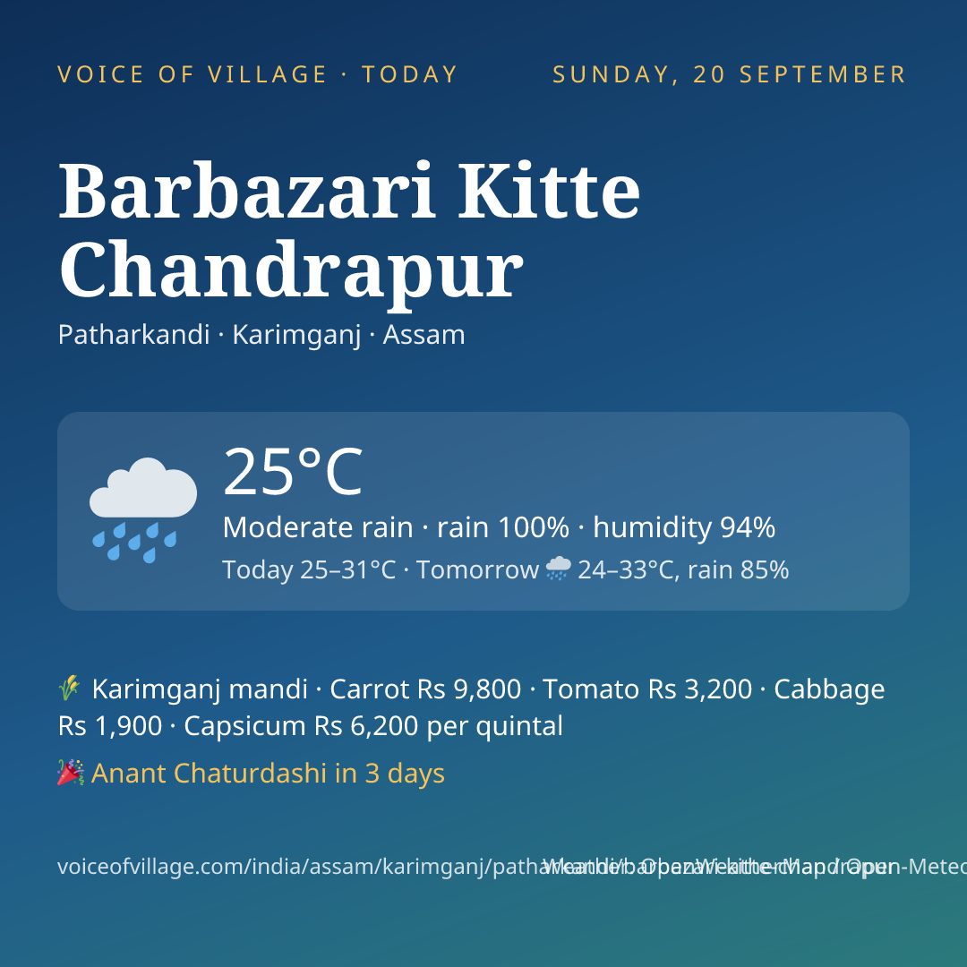 Barbazari Kitte Chandrapur today
