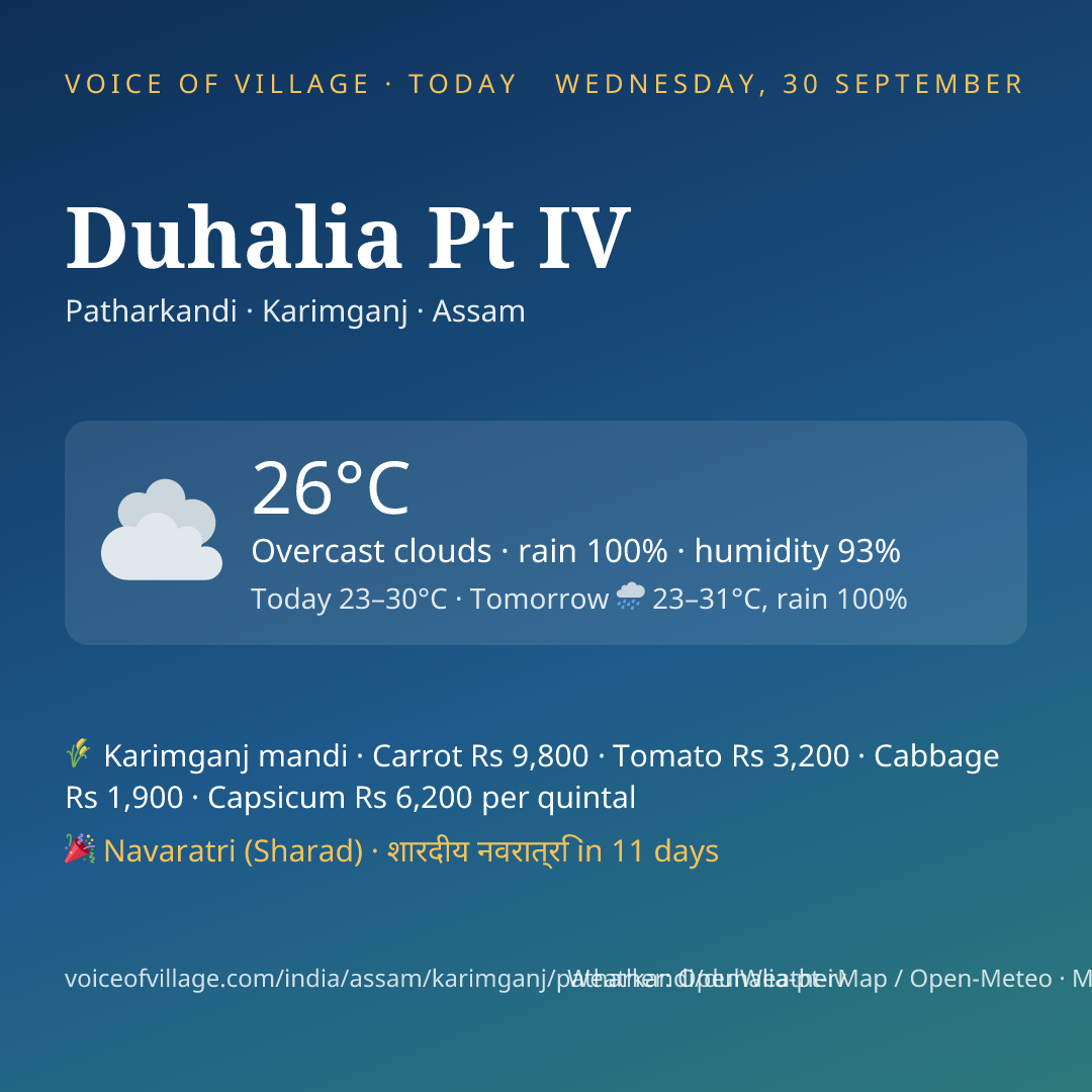 Duhalia Pt IV today