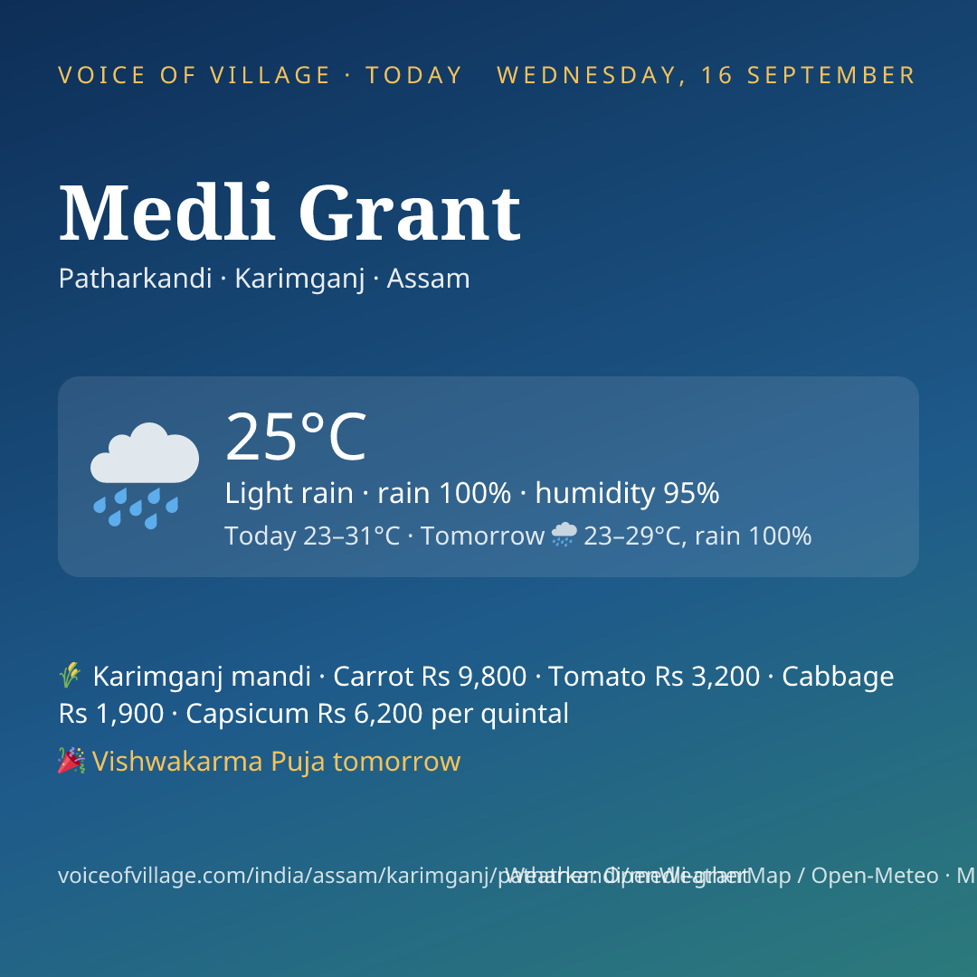 Medli Grant today