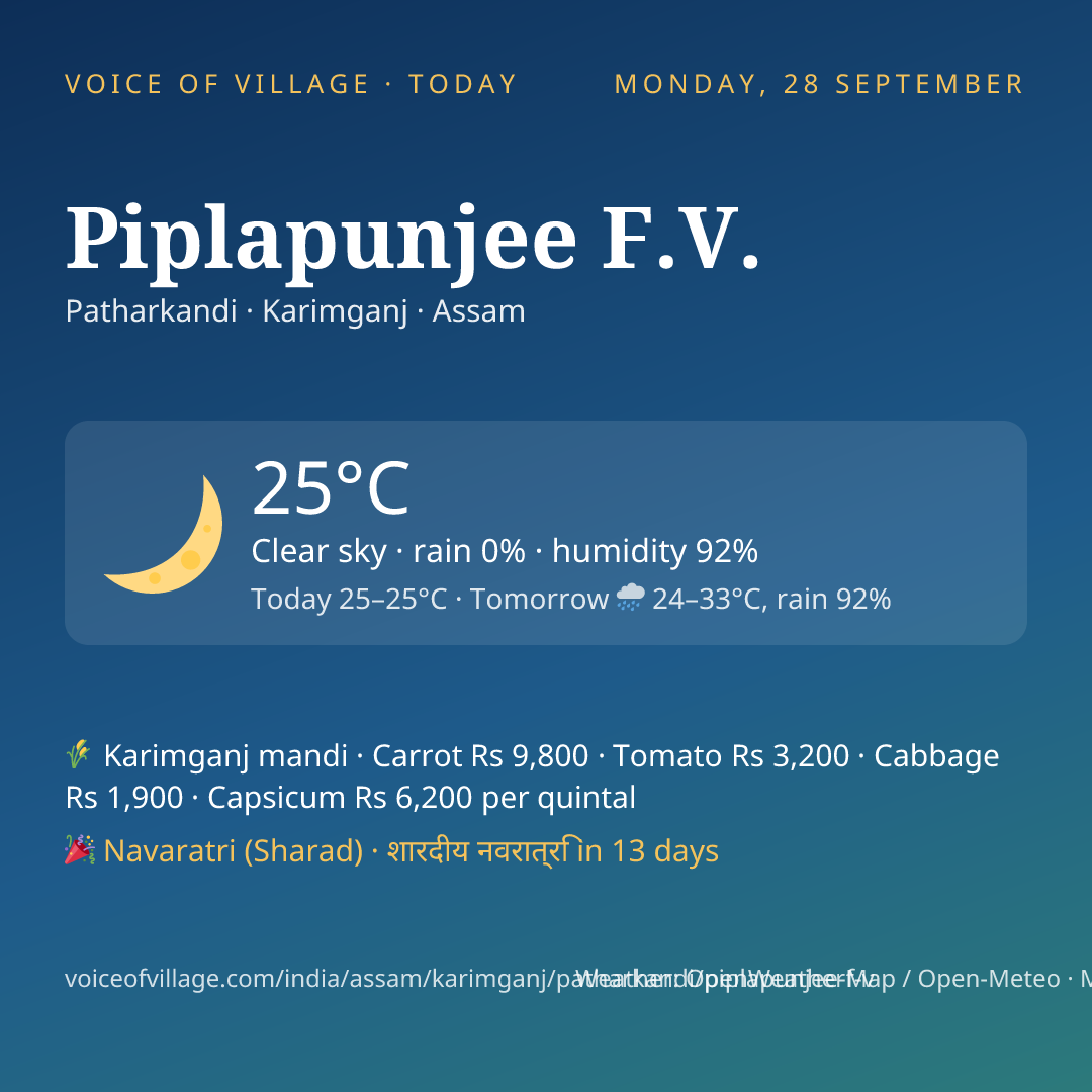 Piplapunjee F.V. today