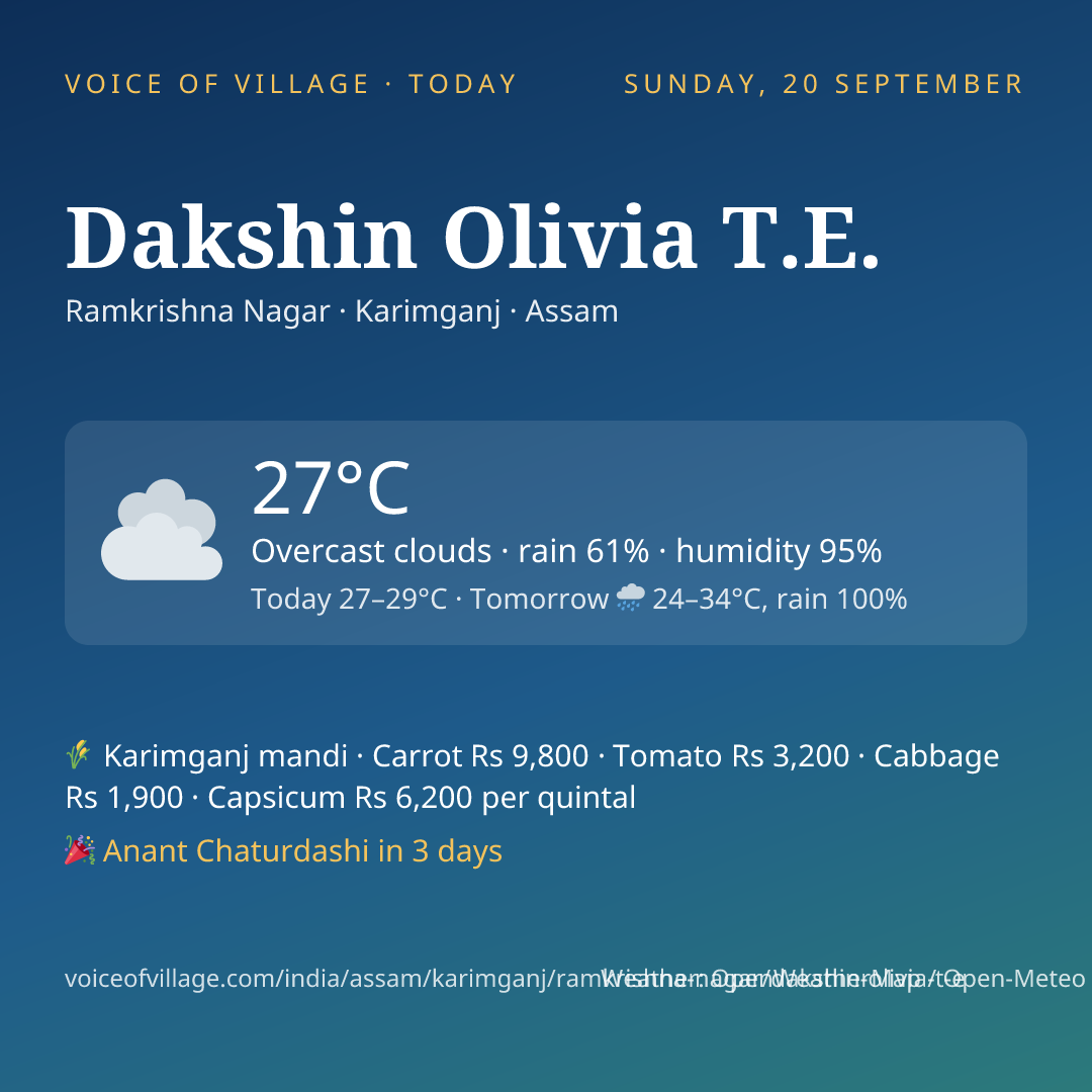 Dakshin Olivia T.E. today