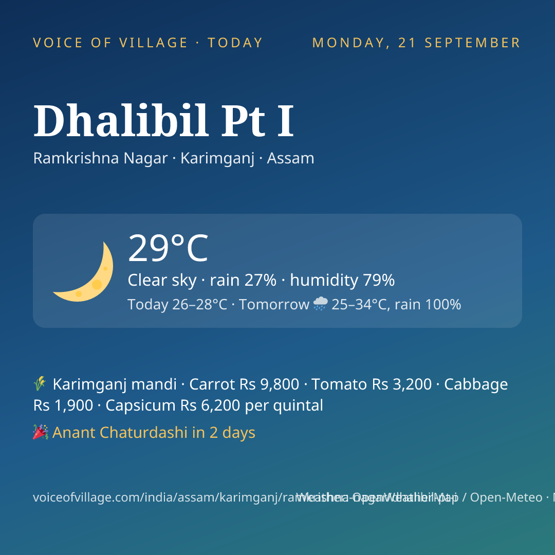 Dhalibil Pt I today