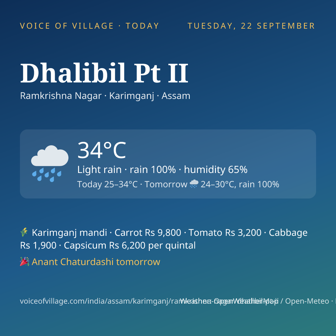 Dhalibil Pt II today