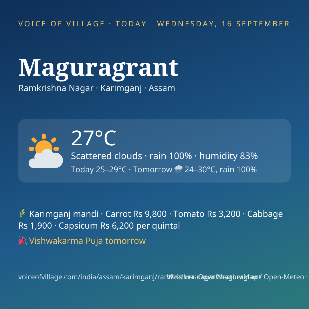 Maguragrant today