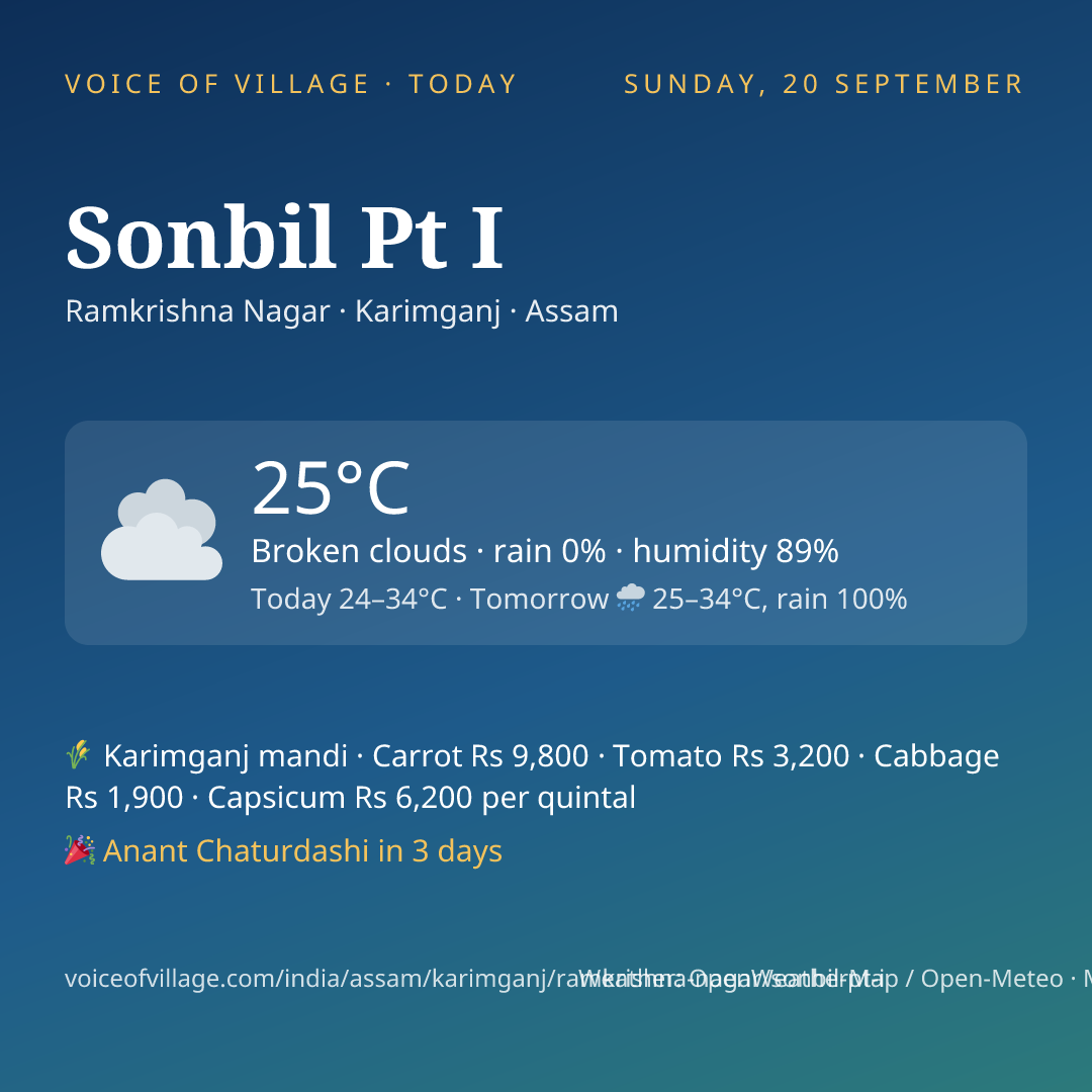 Sonbil Pt I today