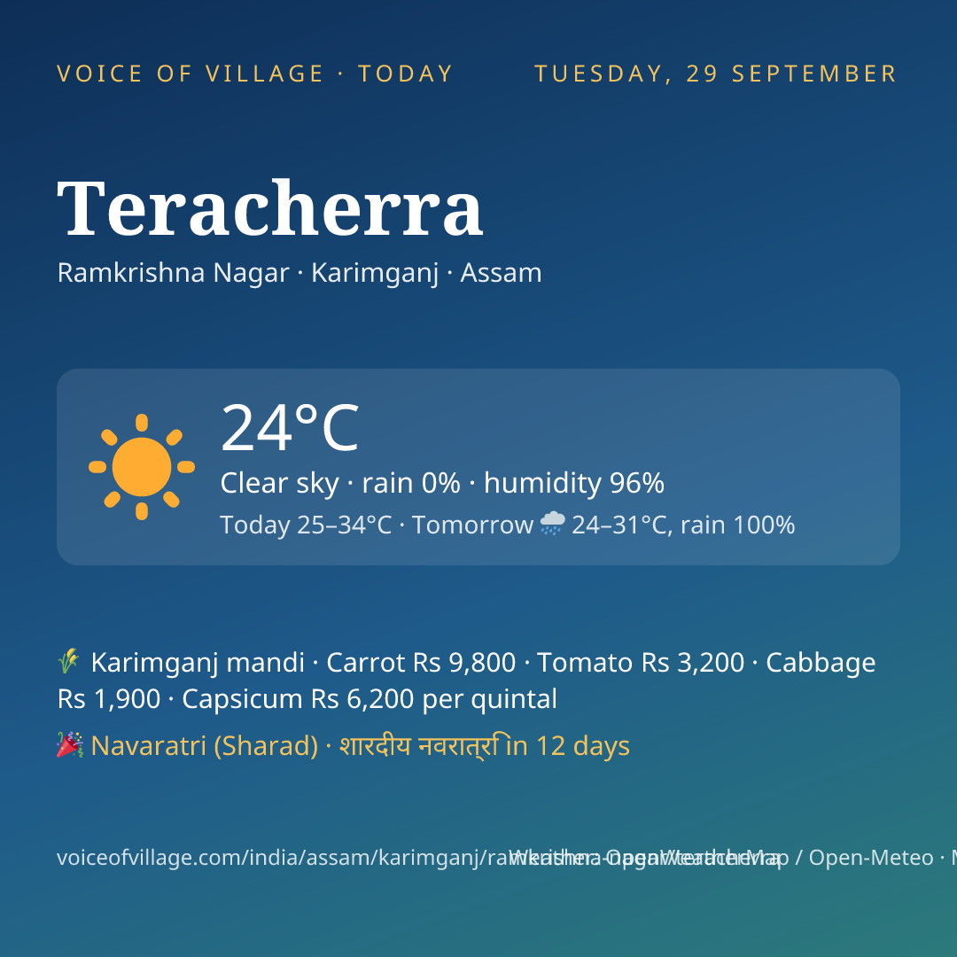 Teracherra today