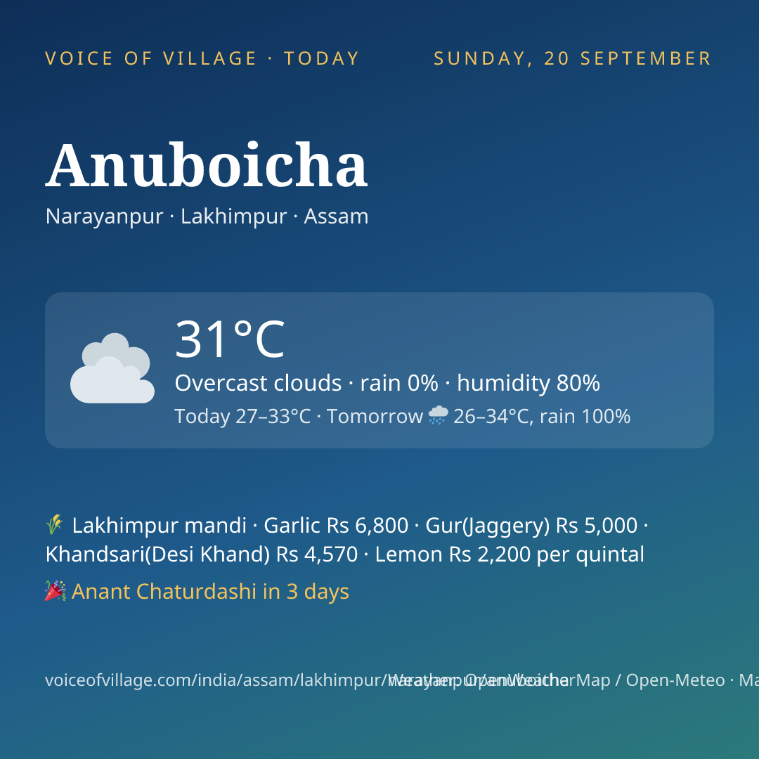 Anuboicha today