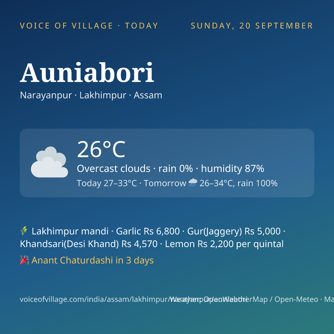 Auniabori today