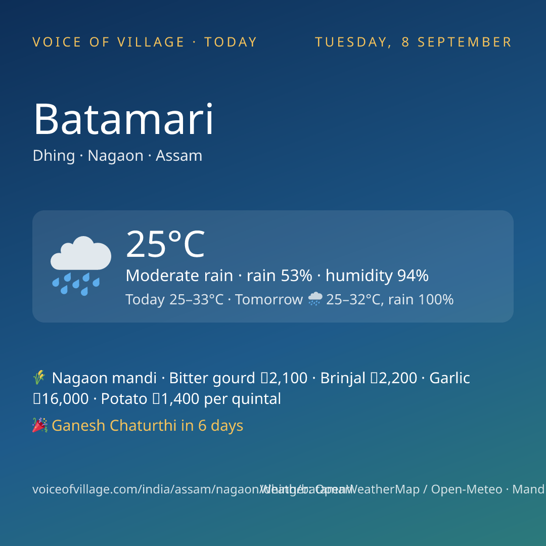 Batamari today
