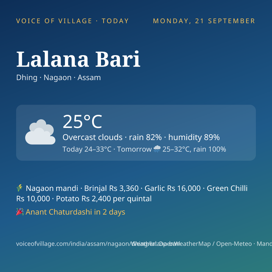 Lalana Bari today