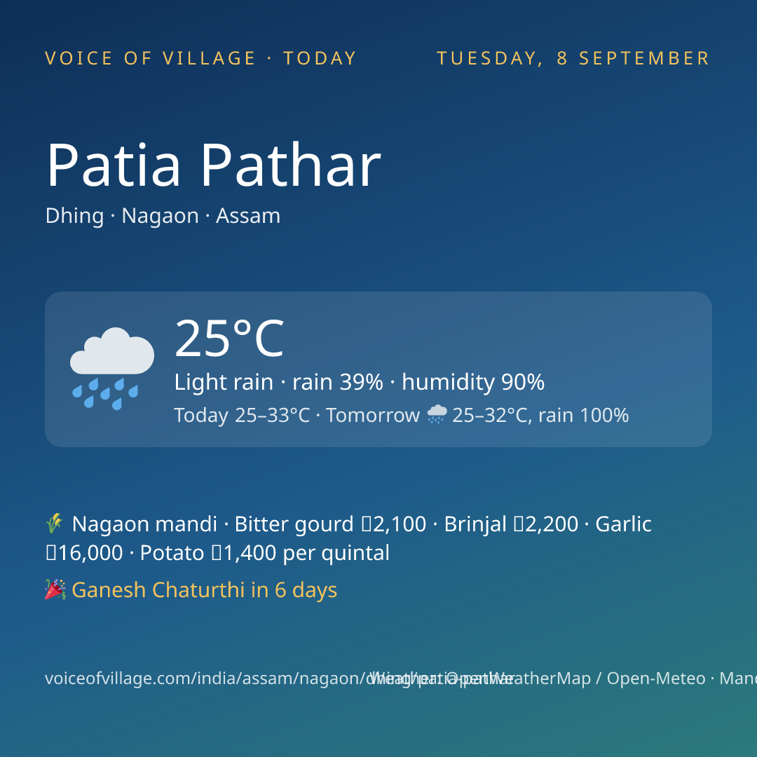 Patia Pathar today