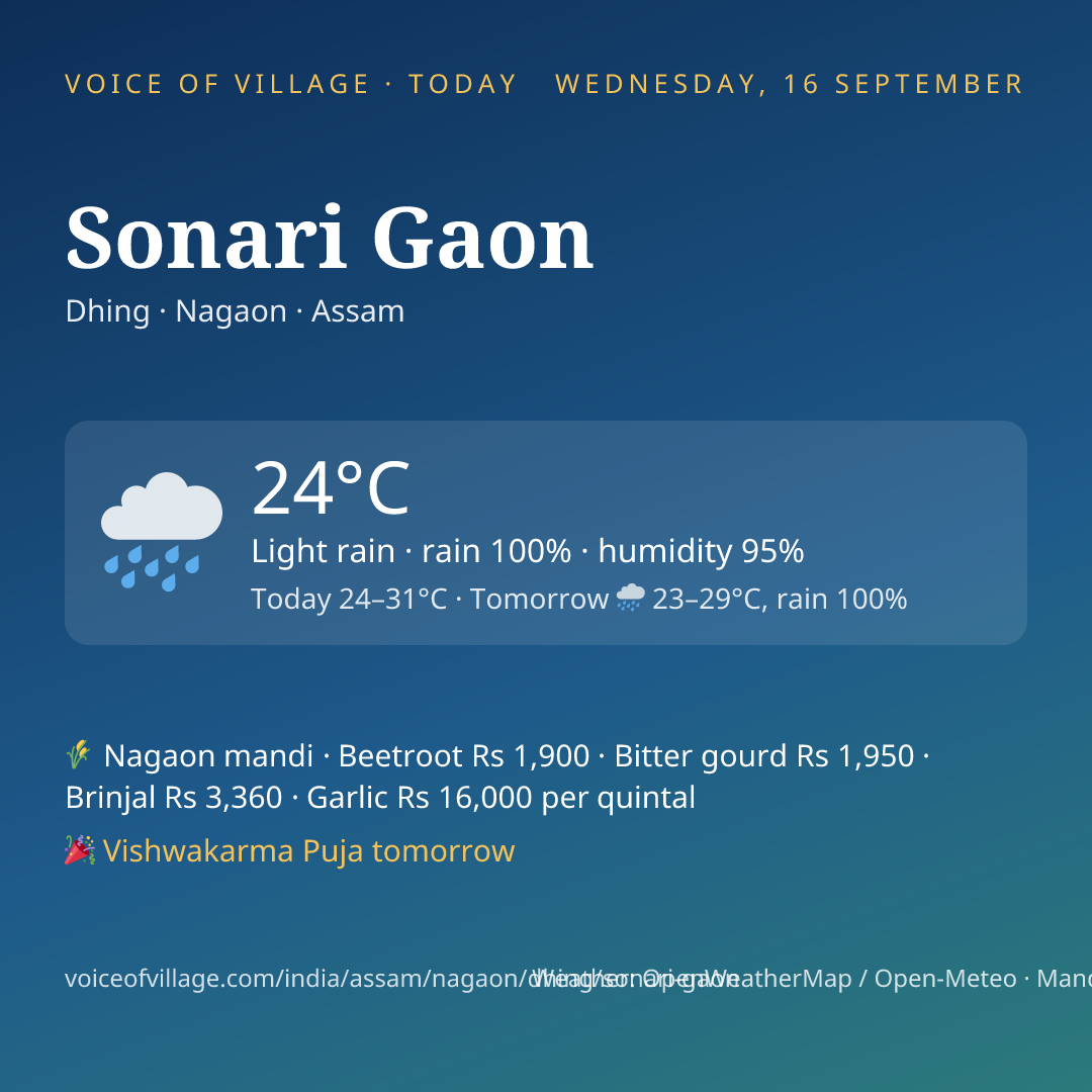 Sonari Gaon today