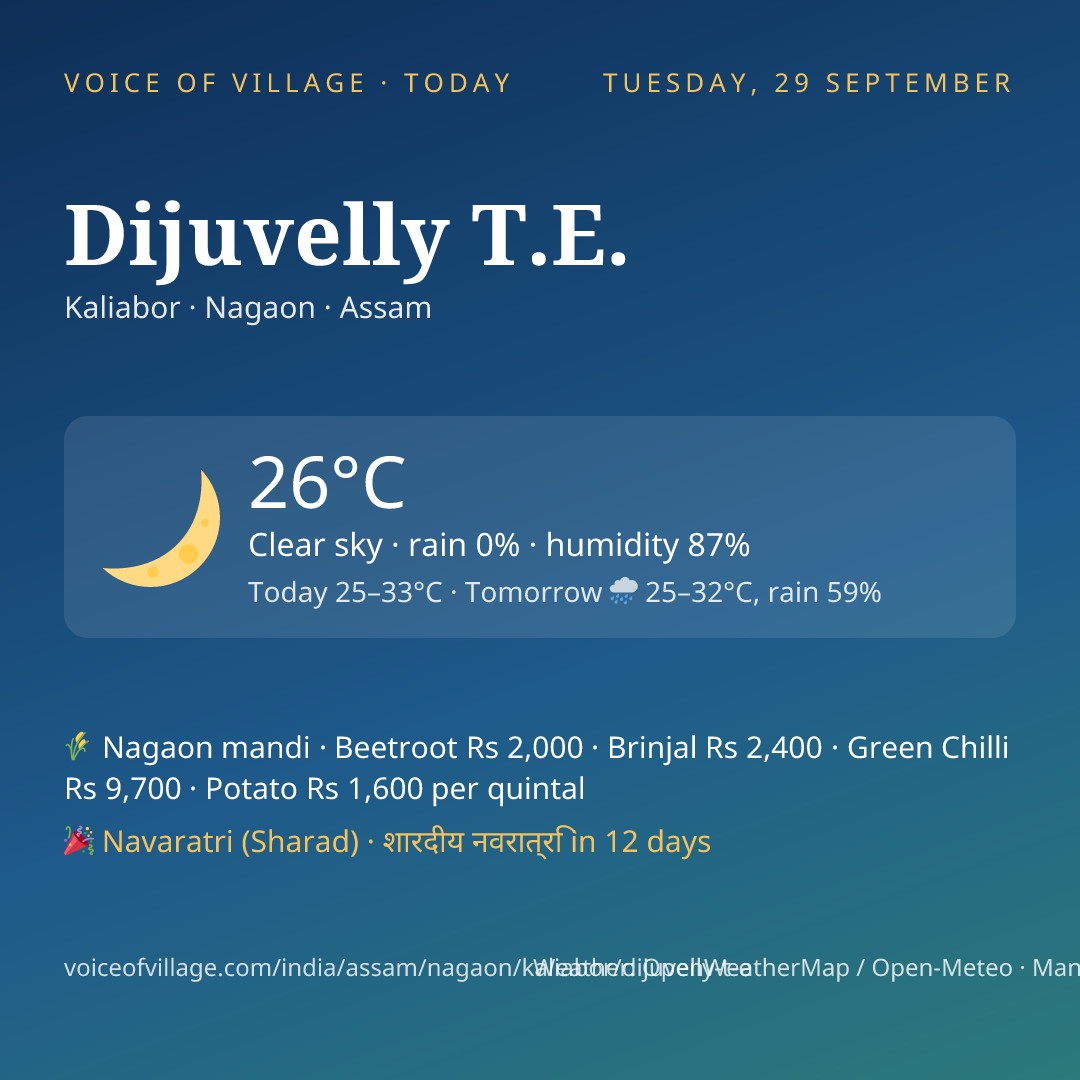 Dijuvelly T.E. today