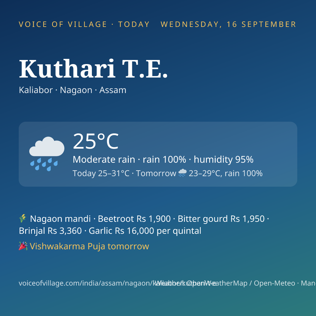 Kuthari T.E. today