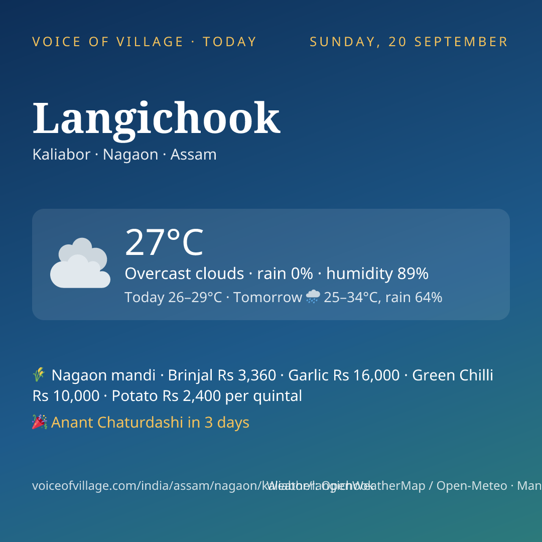 Langichook today