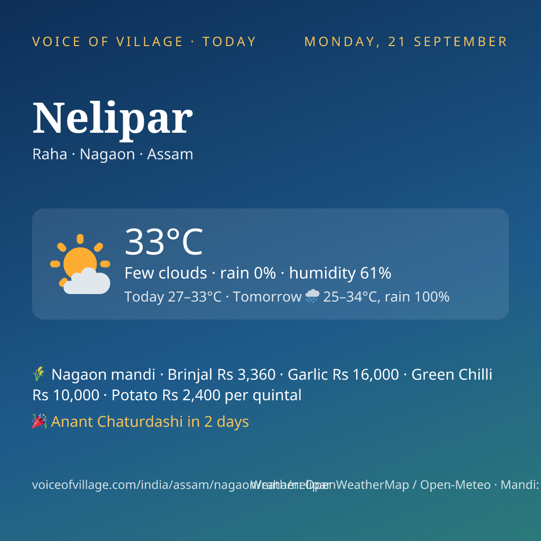 Nelipar today