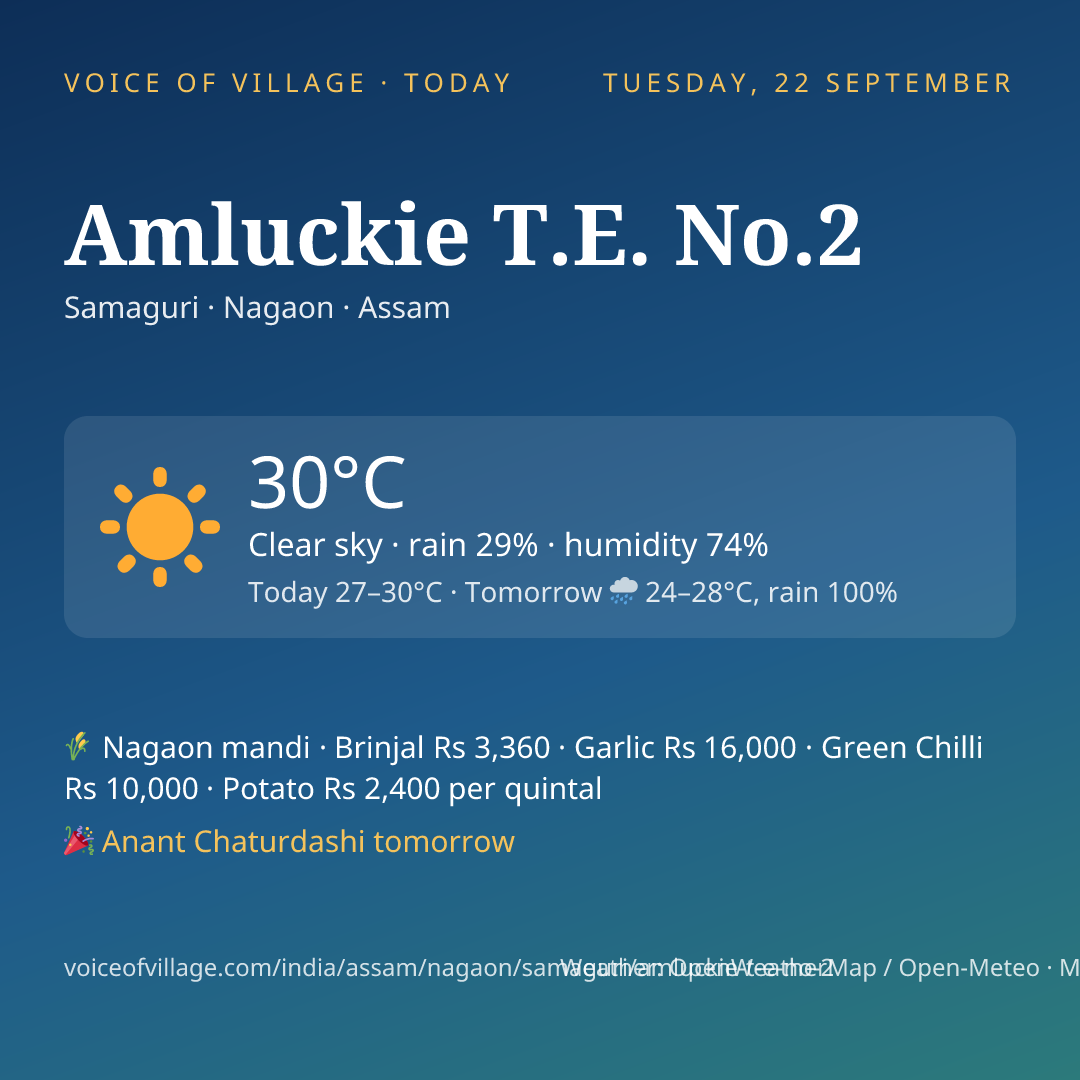 Amluckie T.E. No.2 today