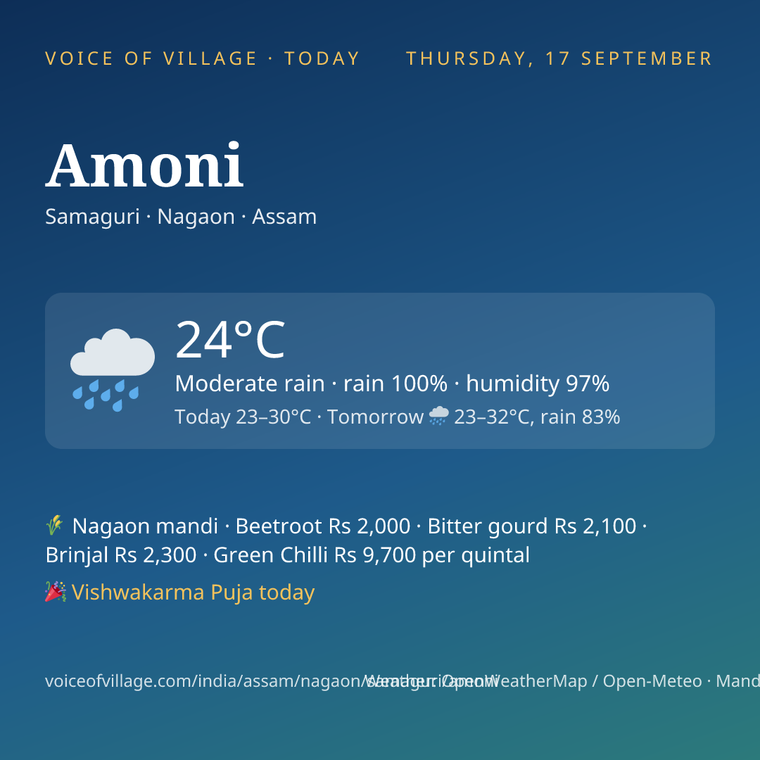 Amoni today