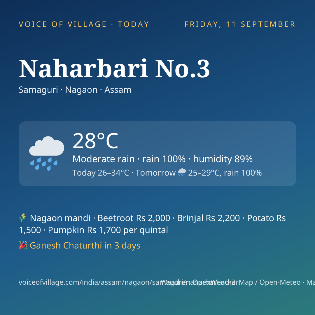Naharbari No.3 today
