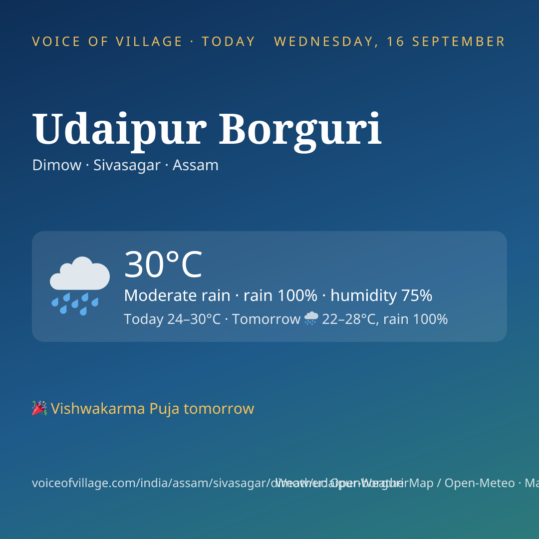 Udaipur Borguri today