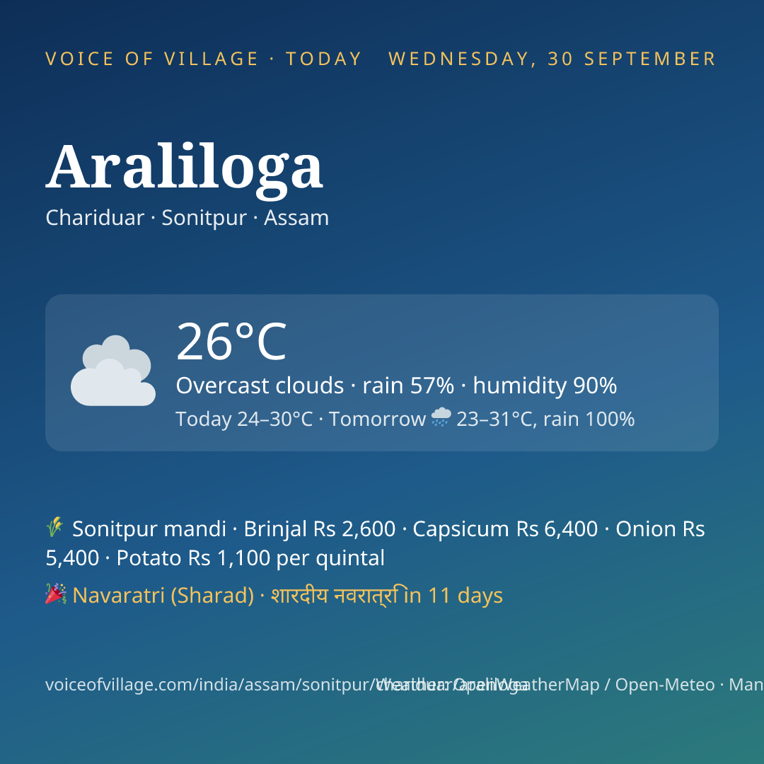 Araliloga today