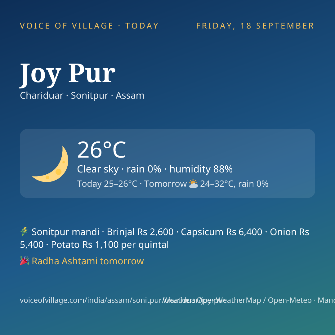 Joy Pur today