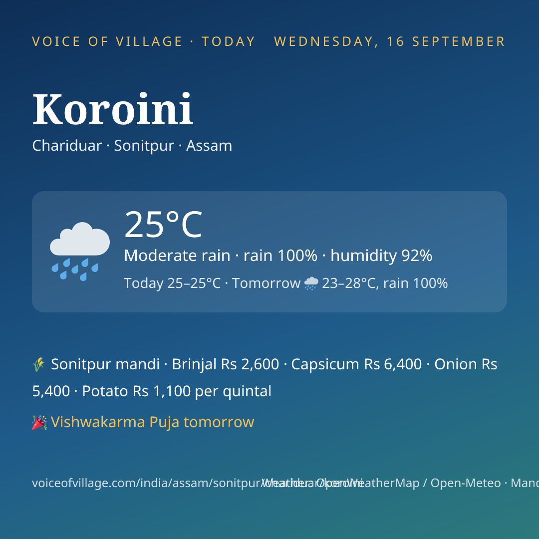 Koroini today