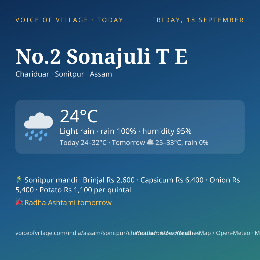 No.2 Sonajuli T E today