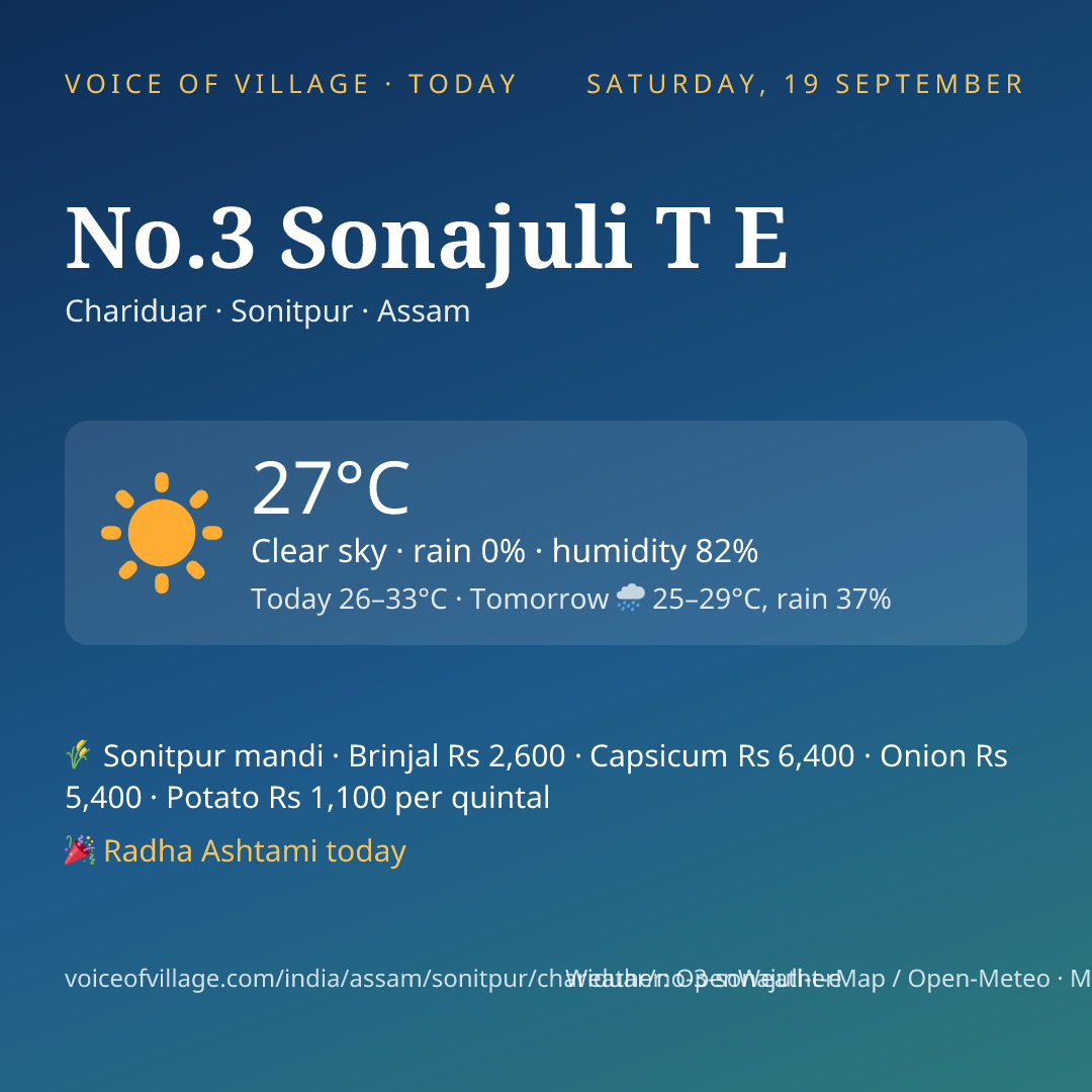 No.3 Sonajuli T E today