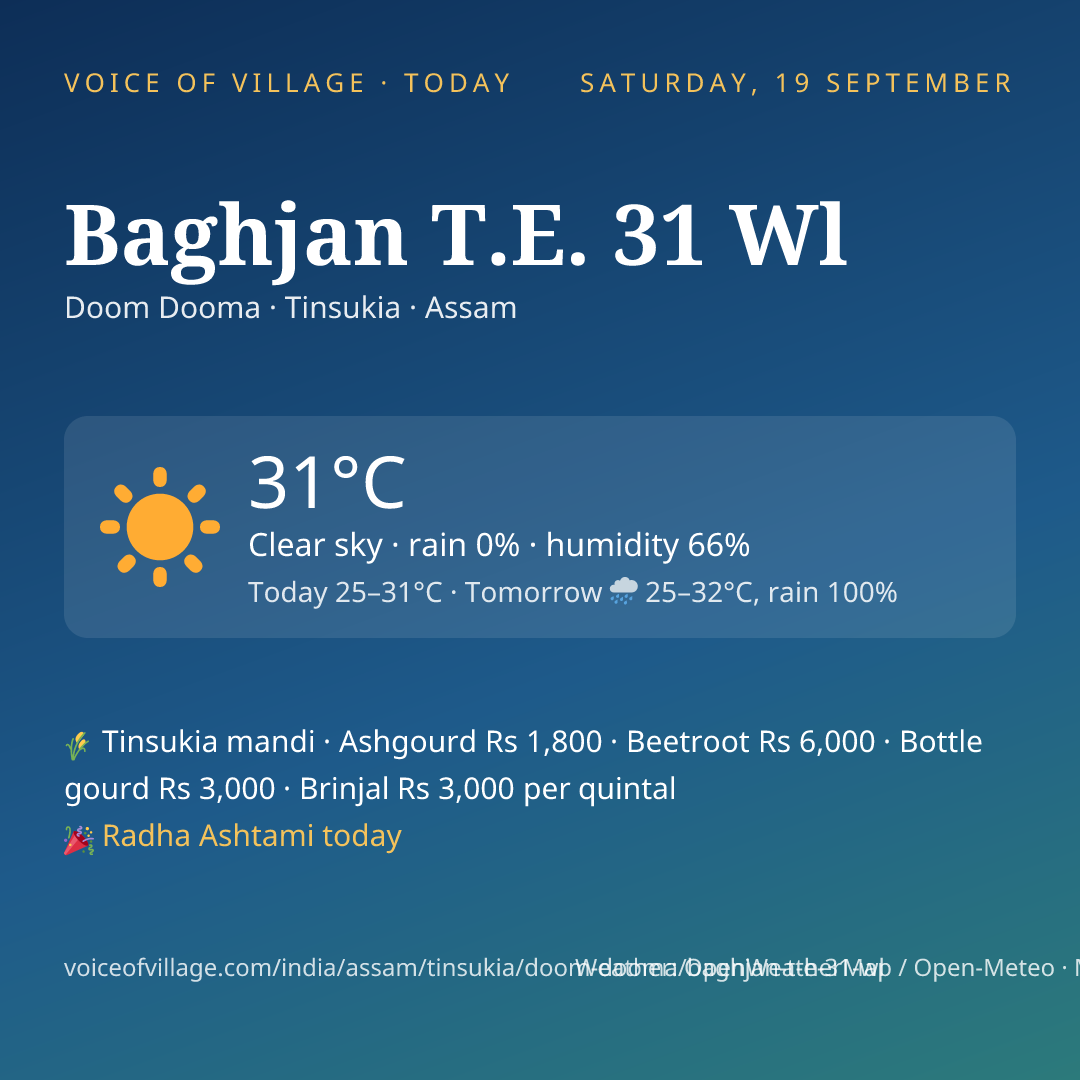 Baghjan T.E. 31 Wl today