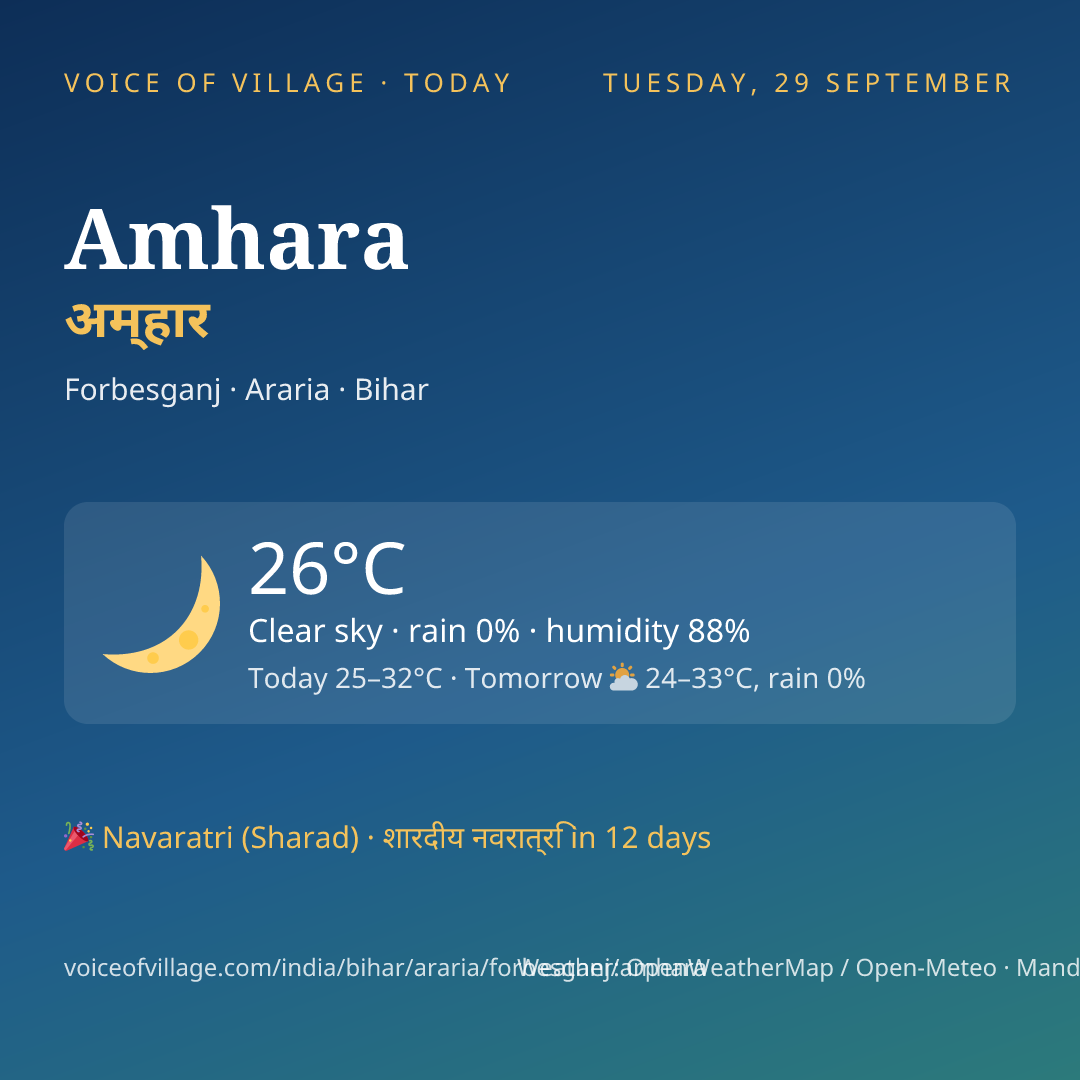 Amhara today