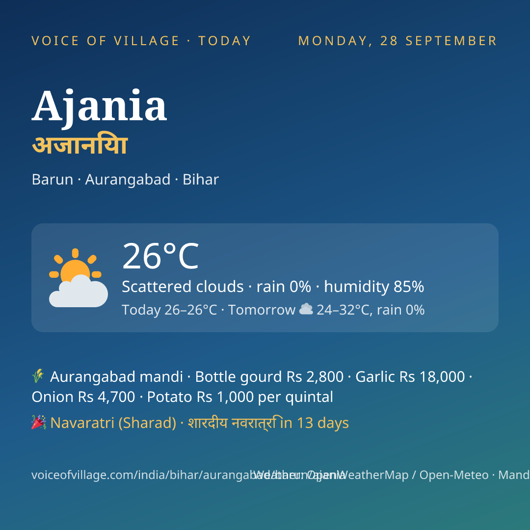 Ajania today