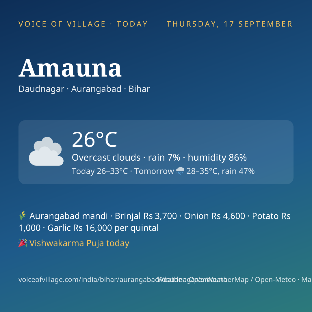 Amauna today