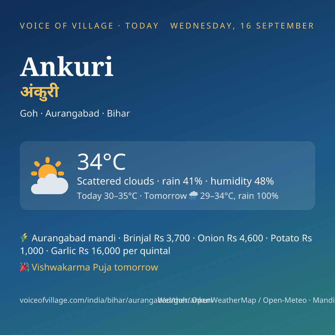 Ankuri today