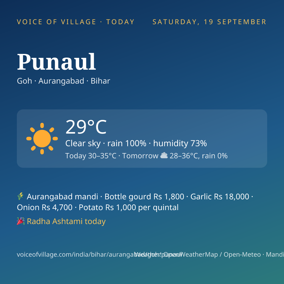 Punaul today