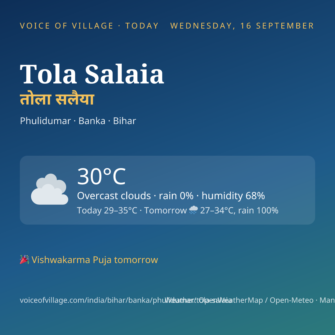 Tola Salaia today