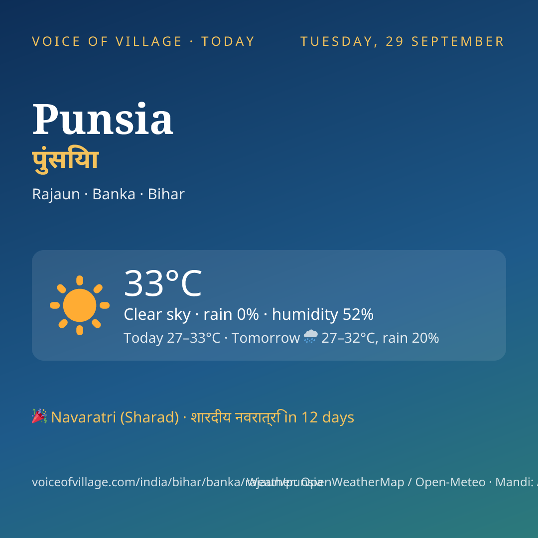 Punsia today
