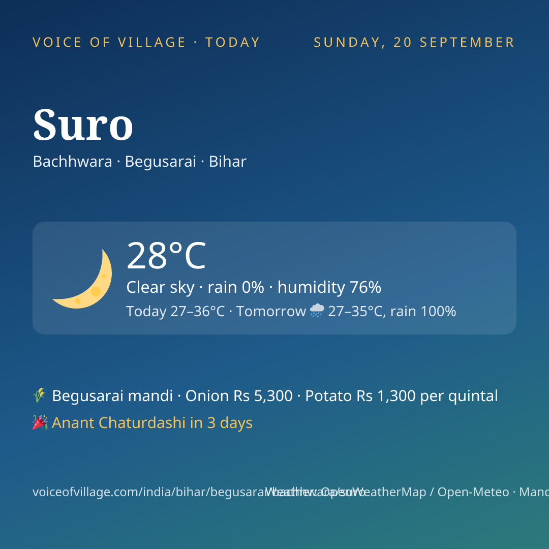Suro today