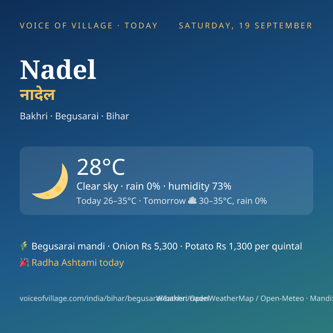 Nadel today
