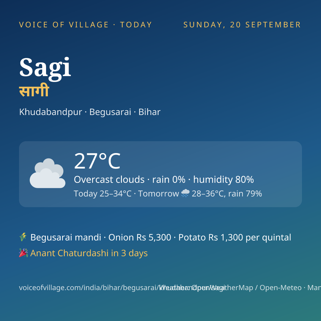 Sagi today