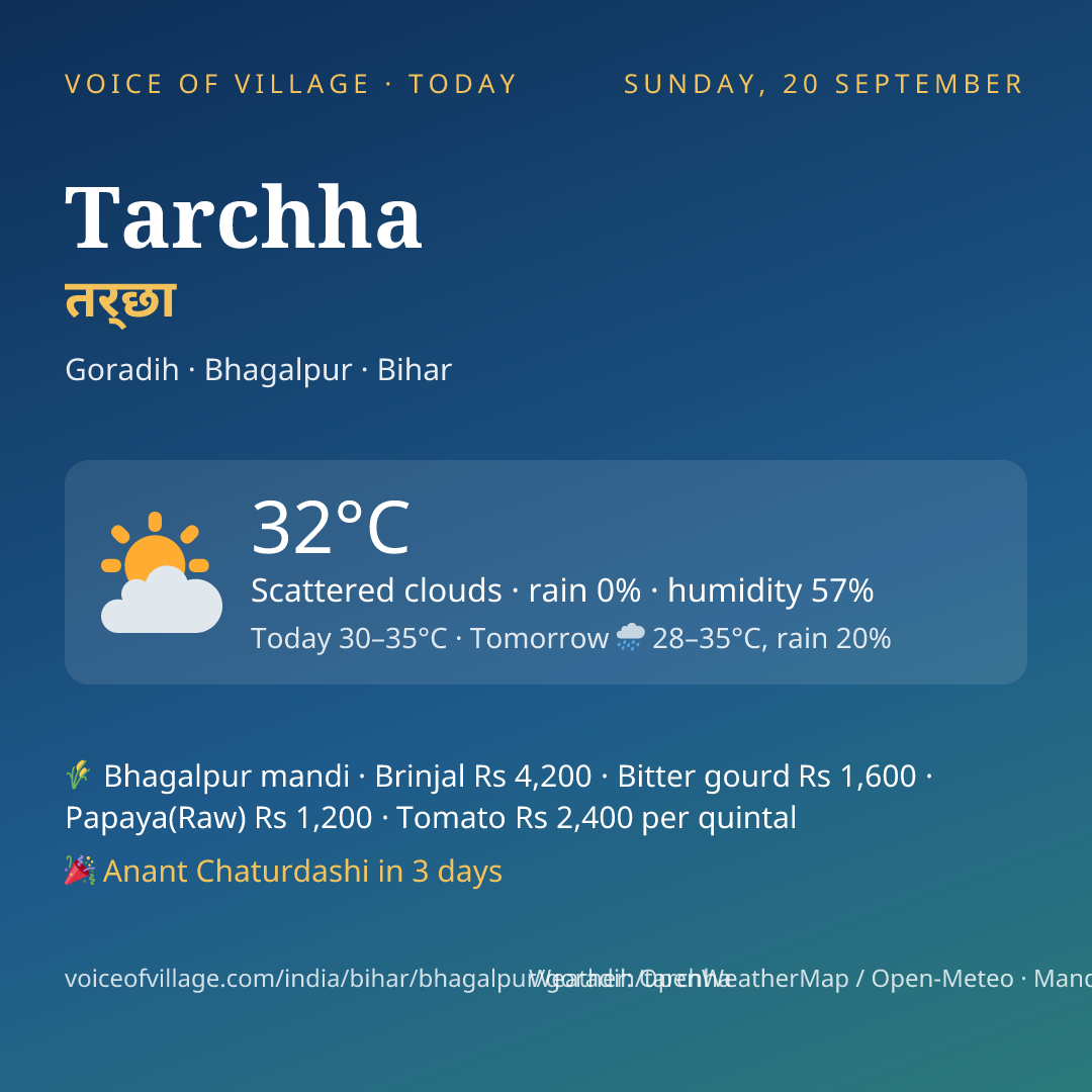Tarchha today