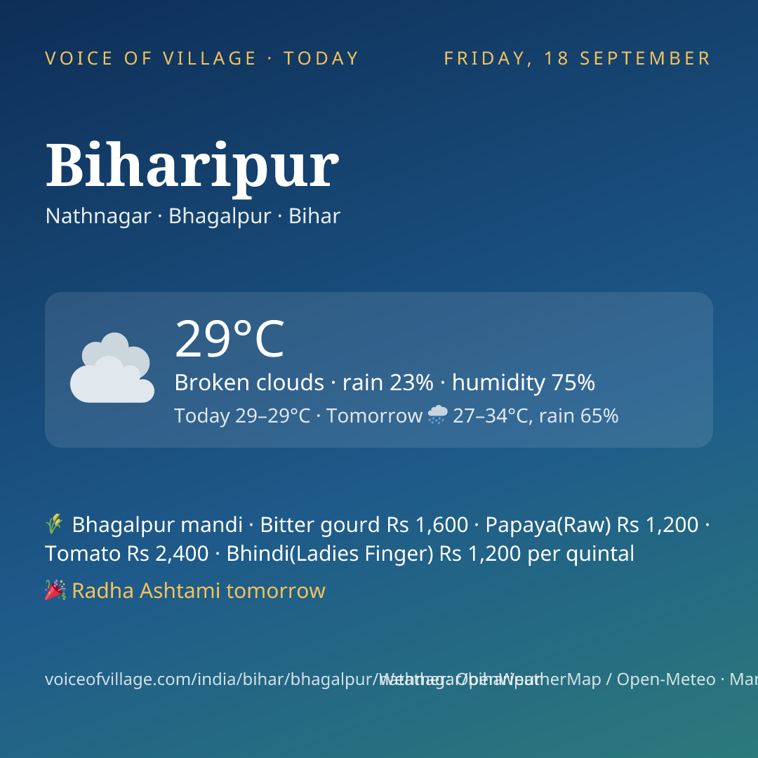 Biharipur today