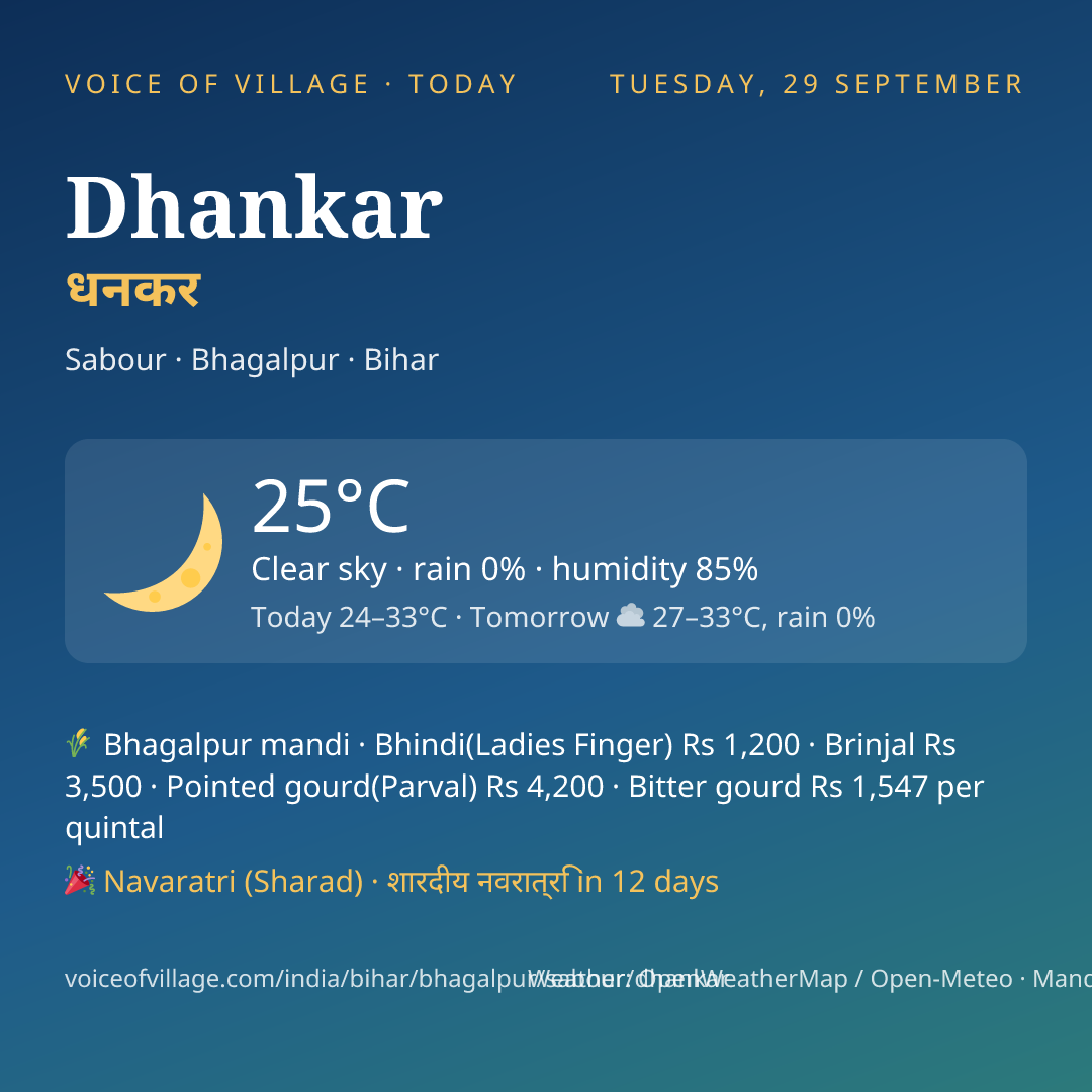 Dhankar today