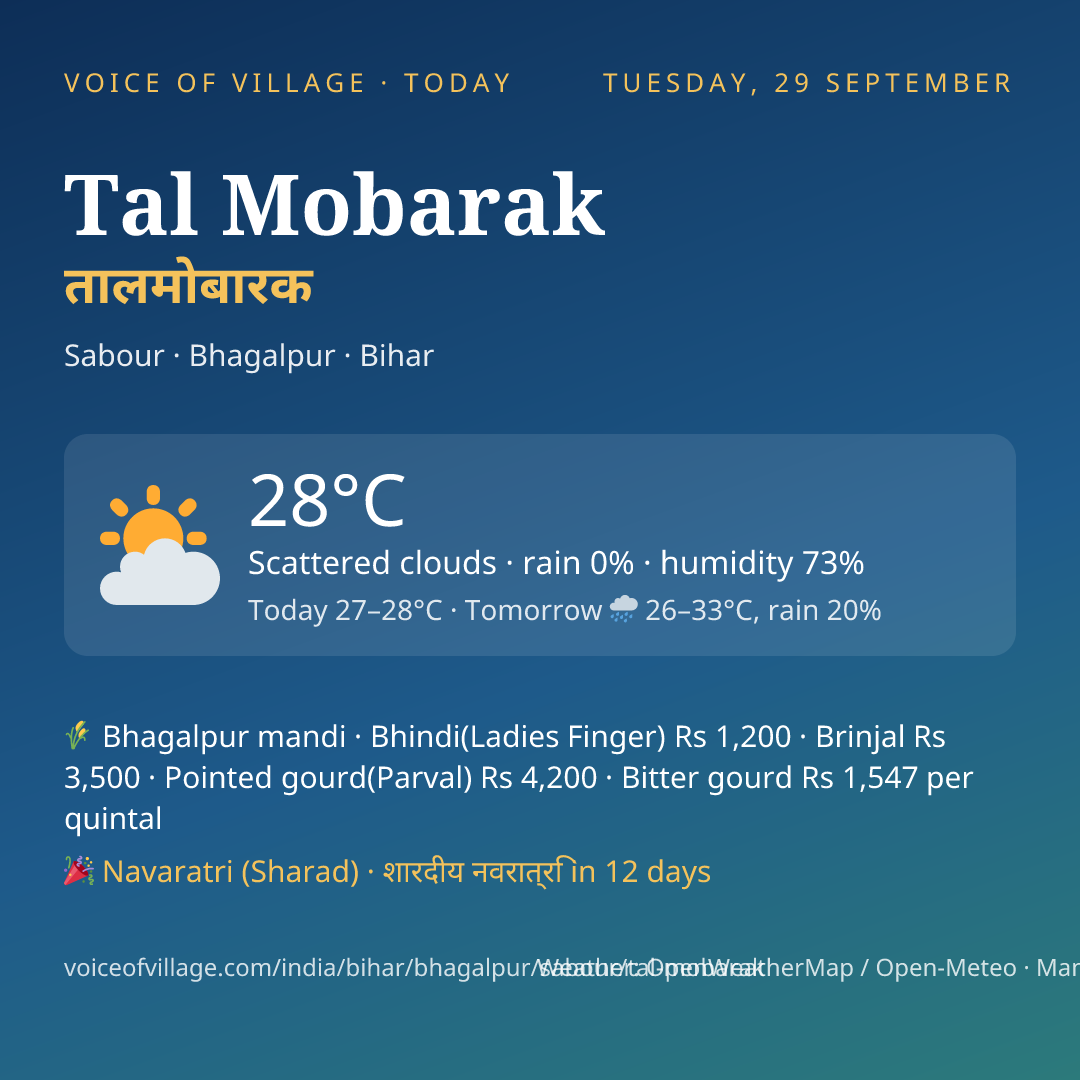 Tal Mobarak today