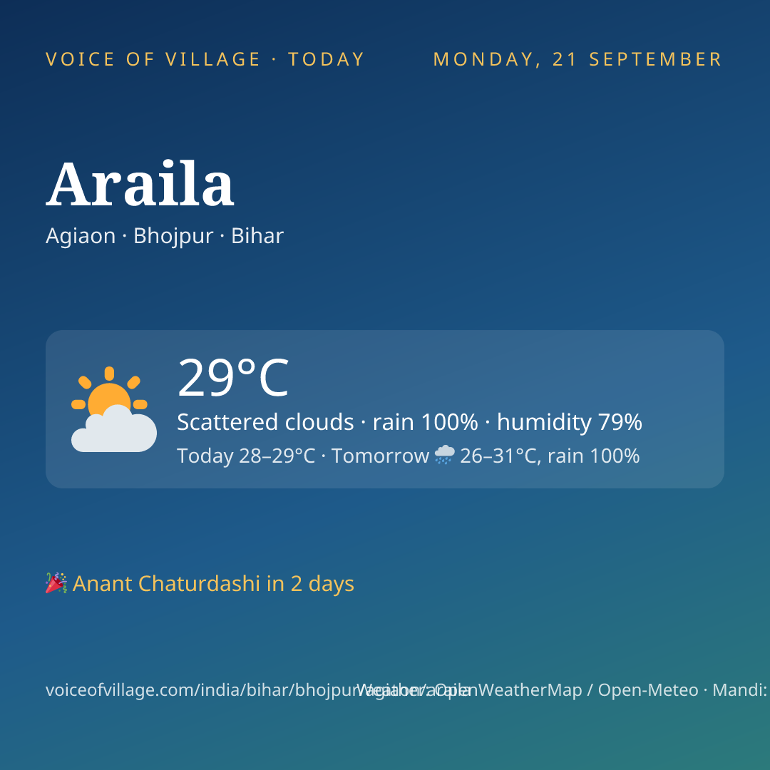 Araila today