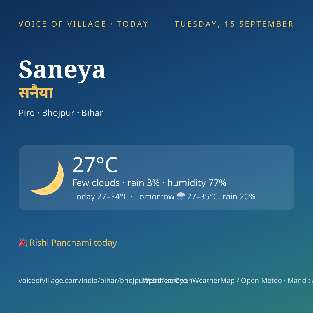 Saneya today