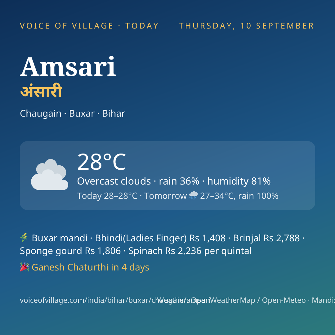 Amsari today