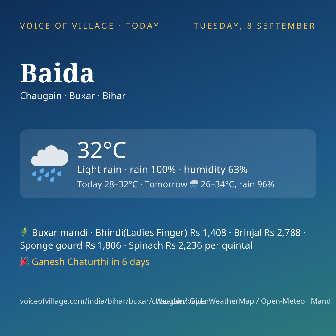 Baida today